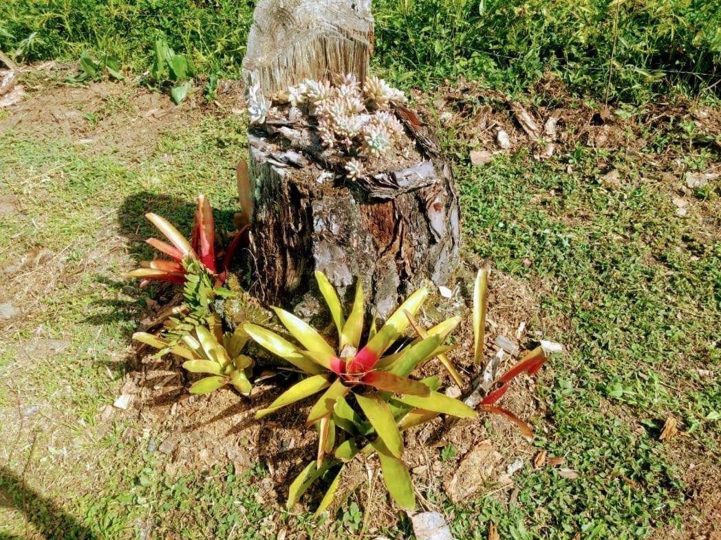Chalé Vale das Flores - Visconde de Mauá Rj Esterno foto